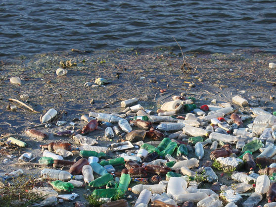 plastic pollution by the sea